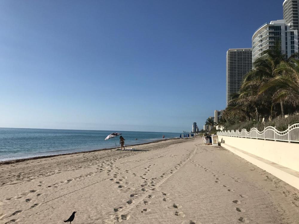 THE TIDES on MIAMI HOLLYWOOD